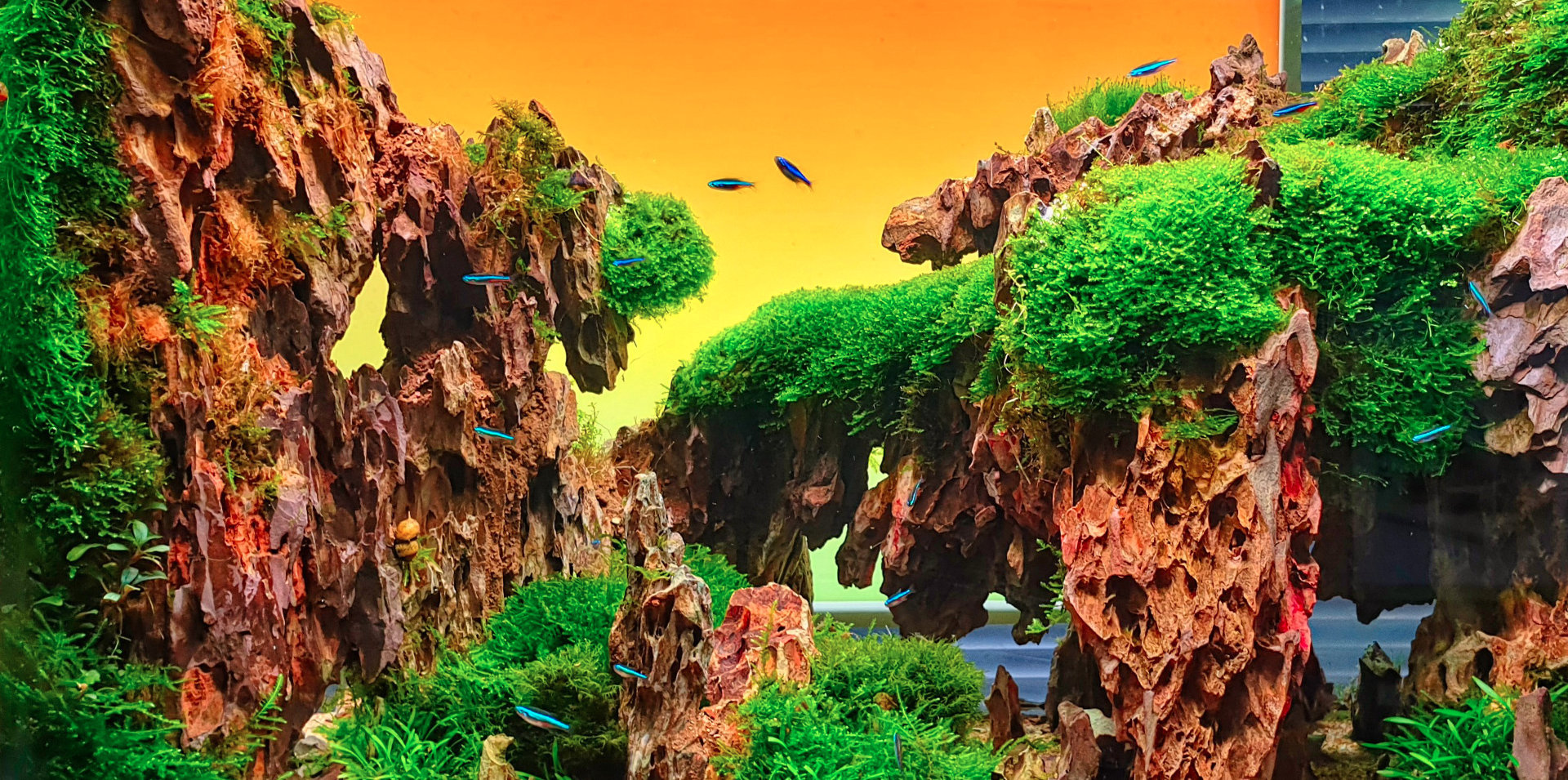 Amazing effect of two-color gradient thanks to the use of two separatly controlled RGB LED sections.