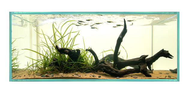 Asia Thailand Highland River Mekong Basin