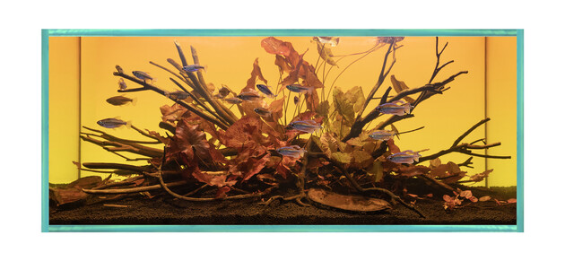 Asia Thailand Highland River Mekong Basin